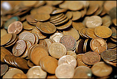 Pennies on display at Glenview Coin &  Collectibles in Illinois.