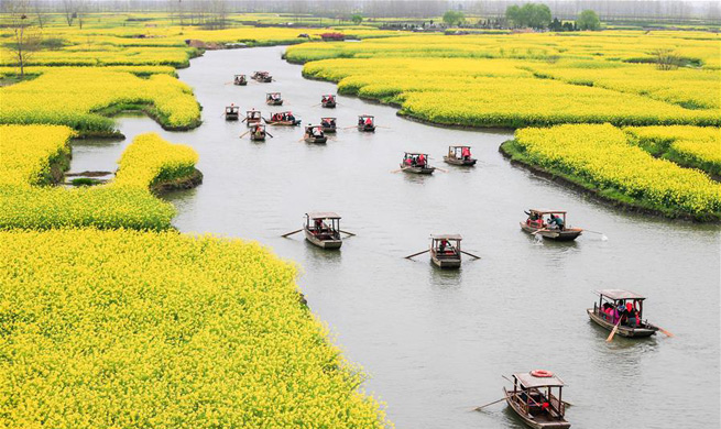 Tourists enjoy scenery of cole flowers on boats in E China