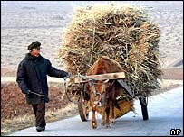 A North Korean farmer with an ox-cart full walks down the road to Pyongyang, 13 February 2003. 