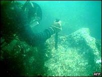 A diver with what experts say is the remains of an ancient wall 