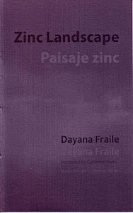Zinc Landscape / Paisaje zinc