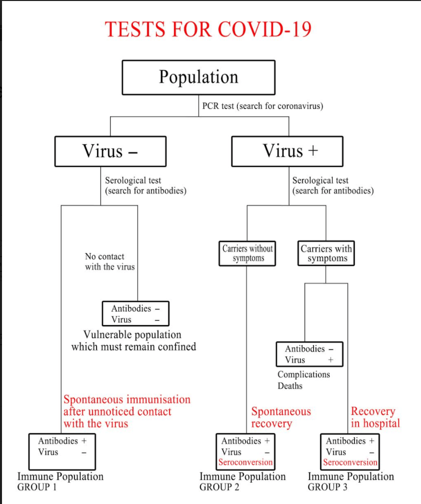 Test for COVID19 diagram