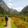 A hiker on Milford Track (file image).