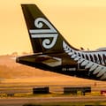 An Air New Zealand plane (file image). 