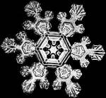 Flocos de neve têm simetria sêxtupla