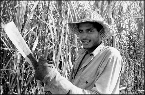 A sugar cane cutter in Cuba during zafra