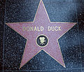 Stern Donald Ducks auf dem Hollywood Walk of Fame in Los Angeles