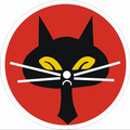 35th Squadron, "Black Cat"