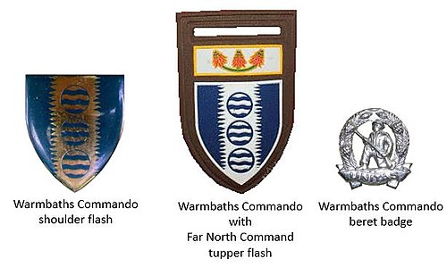 SADF era Warmbaths Commando insignia