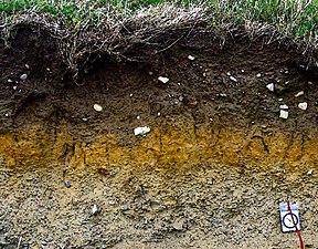 Layers of soil in Ireland. Dark brown soil usually contains a high amount of decayed organic matter