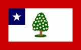 Zastava Mississippija (30. mart 1861 – 22. august 1865)