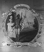 45th US Colored Troops banner