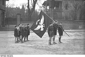 Банн Юнгфолька со своим знаменем