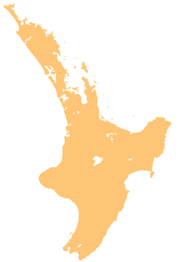 Mayor Island / Tūhua is located in North Island
