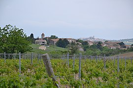 A general view of Lasserre-de-Prouille