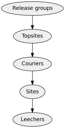 A hierarchy, from the top down it reads: "Release Groups", "Topsites", "Couriers", "Sites", and "Leechers".