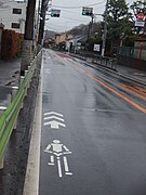 車道混在整備で標示される自転車ナビマーク(1)
