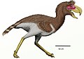 Phorusrhacos, uma ave cariaforme