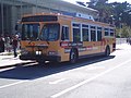 Autobus w San Francisco