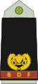 Major (Botswana Ground Force)[18]