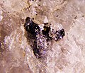 Bismuth telurium