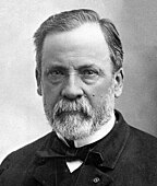 Famed French chemist and bacteriologist Louis Pasteur's first major work on bacterial disease prevention was with chicken cholera (Pasteurella multocida). This came about after he discovered chickens injected with aged chicken cholera bacteria cultures did not become ill like chickens injected with fresh cultures. This discovery later led to himself and others inventing antiseptic technique, vaccinations, and germ theory.