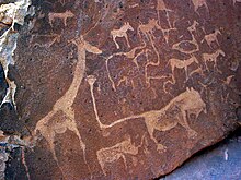 A dark brown sandstone slab littered with rock engravings in light brown. The engravings all show African animals, with a large giraffe on the left. At the centre is a fantasy creature of a lion with human toes and an impossibly long tail. At the tip of the tail there is a pugmark with six toes.