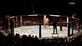 Image 1An octagon cage used by the UFC. (from Mixed martial arts)