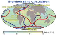 海水が大洋中をどのように通っているかを着色線で示す世界地図。冷たい深層水は太平洋の中心部やインド洋で温められ上昇し、暖かい表層水はグリーンランド南北大西洋、南極海で冷やされ沈んでゆく。