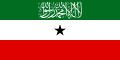 Somaliland This is a State flag 𐒈𐒝𐒑𐒛𐒐𐒘𐒐𐒖𐒒𐒆 أرض الصومال