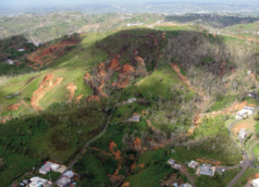 Landslides caused by Hurricane Maria in Corozal