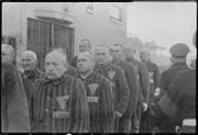 More Sachsenhausen detainees with badges on their uniforms