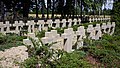 Krzyże na grobach - cmentarz żołnierzy AK z Grupy Kampinos