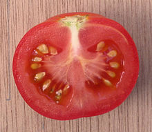 Berenfrucht: Tomaat