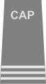 Civil Air Patrol rank insignia of a senior flight officer.