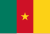 Flagget til Kamerun