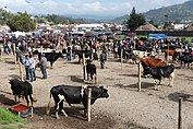 Livestock market of Otavalo