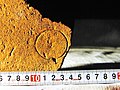 前掲のヨコスカ製鉄所煉瓦の刻印には、他に円形の印を押しただけの物も存在し、円の大きさに3種類が確認されている。これは「小」。