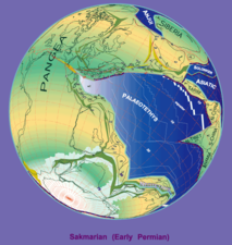 Early Permian paleogeography