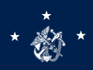 Flag of the Surgeon General of the United States (vice admiral)