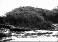 1924 Photo of Turtle Mound