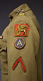 Detail of a Lieutenant’s uniform from the regiment showing the famous 332nd Infantry Regiment Lion of Saint Mark, and Army of Occupation shoulder sleeve insignia. Courtesy United States Army Center of Military History.