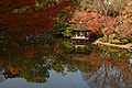Wakayama Castle Nishinomaru Garden / 和歌山城西之丸庭園