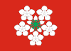 Flag of Lier Municipality