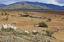 A sheep ranch (Estancia) in Argentina