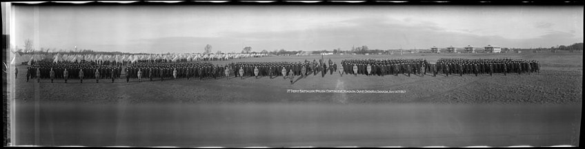 Panoramic picture of men standing to attention