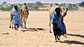Mauritánia, severná Afrika.