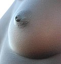 Thumbnail for Nipple