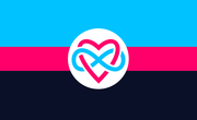 A popular polyamory flag, with the infinity heart symbol in the middle.