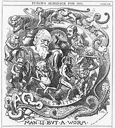 Darwin's figure is shown seated, dressed in a toga, in a circular frame labelled "TIME'S METER" around which a succession of figures spiral, starting with an earthworm emerging from the broken letters "CHAOS" then worms with head and limbs, followed by monkeys, apes, primitive men, a loin cloth clad hunter with a club, and a gentleman who tips his top hat to Darwin